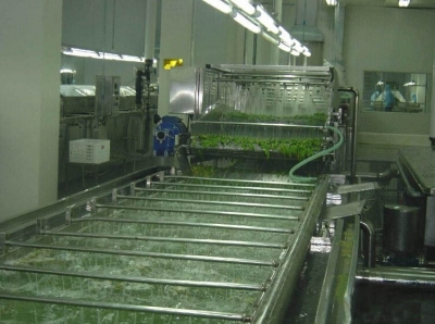 根莖類清洗機