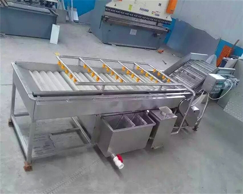 蔬菜清洗滅菌流水線