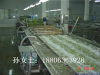 蔬菜清洗機廠家    氣泡清洗機  水果清洗機