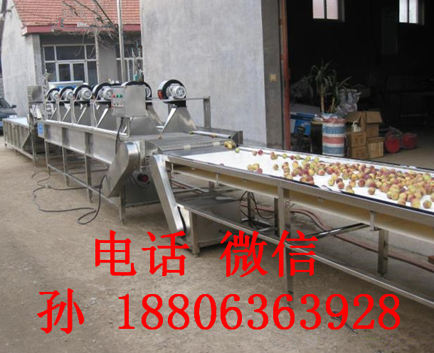 果蔬清洗機、凈菜生產線