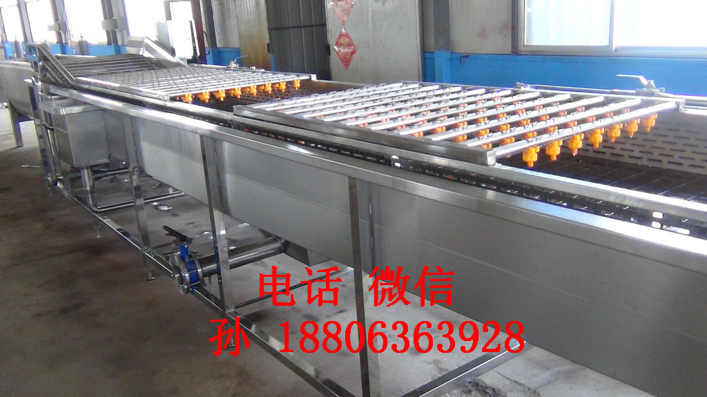 蔬菜清洗機  氣泡清洗機   清洗機價格