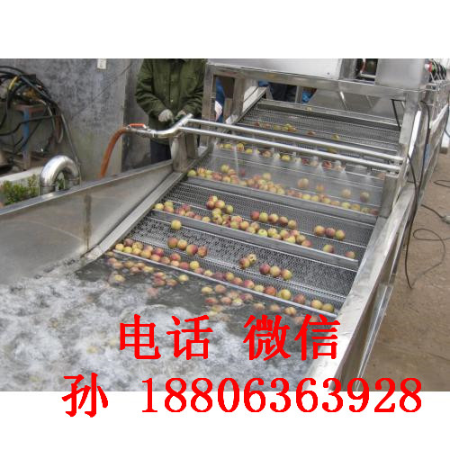 大型蔬菜氣泡式清洗機 草莓清洗機 多功能氣泡果蔬清洗機