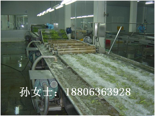 供應番茄清洗機 專業果蔬清洗設備制造商 山東田元機械