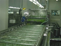 根莖類清洗機